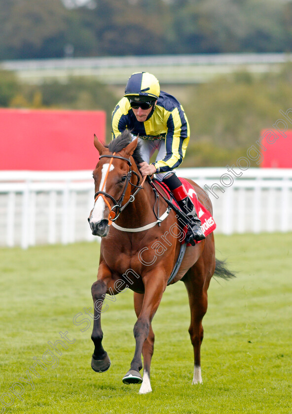 Isabella-Giles-0007 
 ISABELLA GILES (Adam Kirby) wins The Ladbrokes Prestige Stakes
Goodwood 29 Aug 2020 - Pic Steven Cargill / Racingfotos.com