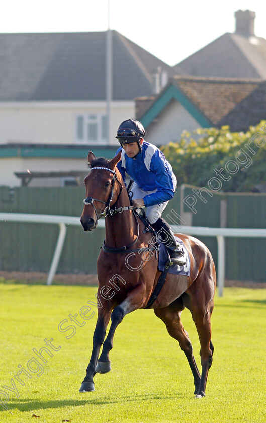 Shaara-0001 
 SHAARA (Dane O'Neill) winner of The British Stallion Studs EBF Fillies Novice Stakes
Yarmouth 19 Oct 2021 - Pic Steven Cargill / Racingfotos.com