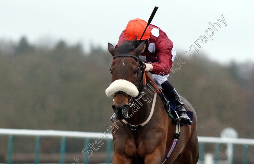 Mango-Tango-0008 
 MANGO TANGO (Edward Greatrex) wins The Betway Casino Stakes
Lingfield 5 Dec 2018 - Pic Steven Cargill / Racingfotos.com