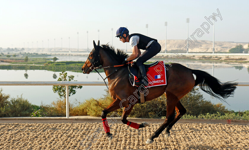 Andromede-0002 
 ANDROMEDE training for the Bahrain International Trophy
Kingdom of Bahrain 13 Nov 2024 - Pic Steven Cargill / Racingfotos.com