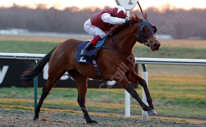 Murray-River-0005 
 MURRAY RIVER (Frankie Dettori) wins The Ladbrokes Handicap
Lingfield 2 Feb 2019 - Pic Steven Cargill / Racingfotos.com