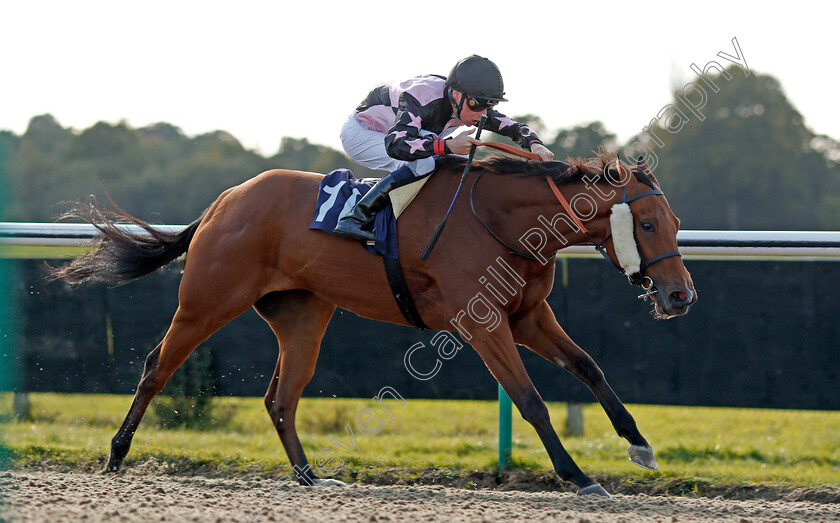 Entertaining-Ben-0004 
 ENTERTAINING BEN (Kieran Shoemark) wins The Fireworks Night At Lingfield Park Handicap Lingfield 5 Oct 2017 - Pic Steven Cargill / Racingfotos.com