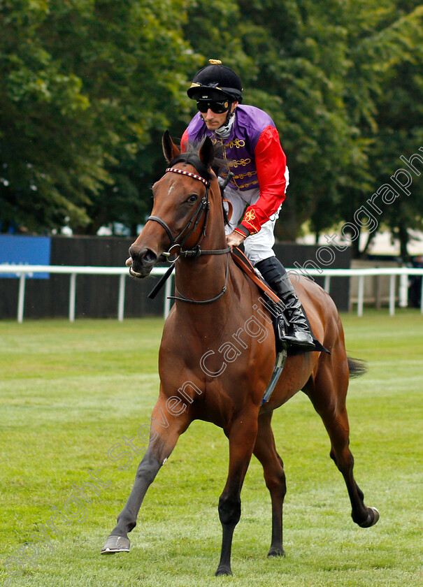 Award-Scheme-0001 
 AWARD SCHEME (Daniel Tudhope)
Newmarket 13 Jul 2019 - Pic Steven Cargill / Racingfotos.com