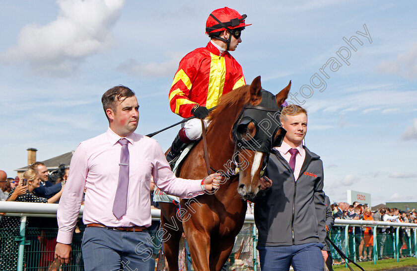 Fernando-Vichi-0001 
 FERNANDO VICHI (Oisin Murphy)
Doncaster 11 Sep 2021 - Pic Steven Cargill / Racingfotos.com