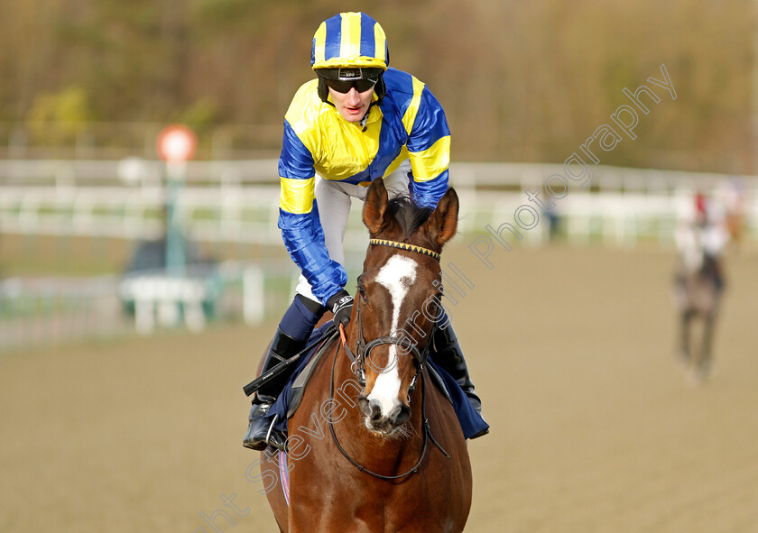 Forge-Valley-Lad-0001 
 FORGE VALLEY LAD (Daniel Muscutt)
Lingfield 20 Jan 2024 - Pic Steven Cargill / Racingfotos.com