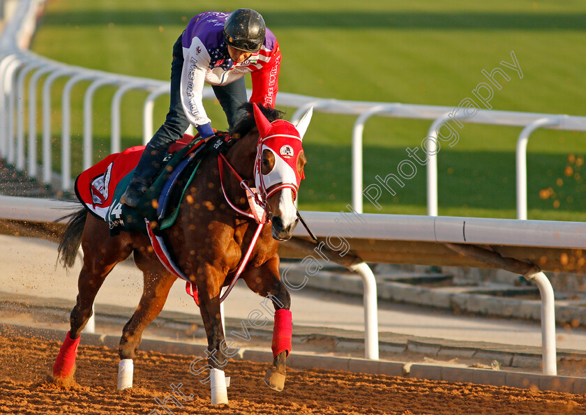 Marche-Lorraine-0002 
 MARCHE LORRAINE training for The Saudi Cup
King Abdulaziz Racetrack, Riyadh, Saudi Arabia 23 Feb 2022 - Pic Steven Cargill / Racingfotos.com