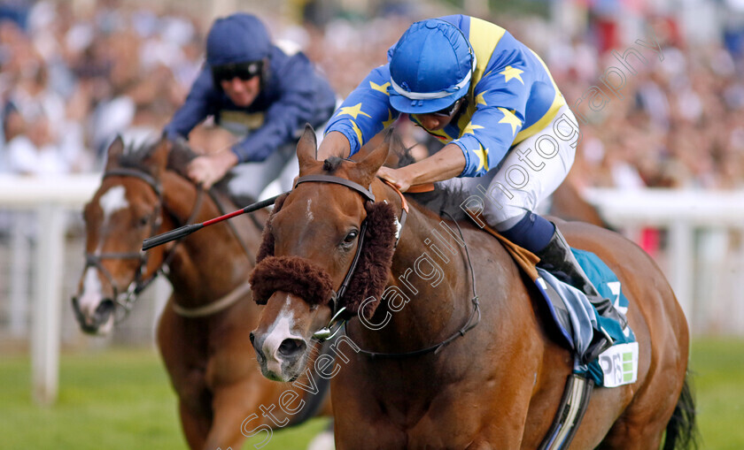 The-Green-Man-0001 
 THE GREEN MAN (Kaiya Fraser) wins The Clean Up With PPS Handicap
York 17 Jun 2023 - Pic Steven Cargill / Racingfotos.com