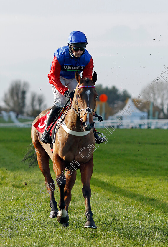 Goblet-Of-Fire-0002 
 GOBLET OF FIRE (Nico de Boinville)
Sandown 8 Dec 2023 - Pic Steven Cargill / Racingfotos.com