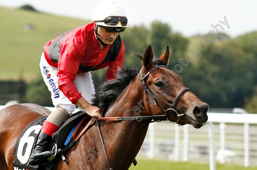 Mot-Juste-0001 
 MOT JUSTE (Andrea Atzeni)
Goodwood 4 Sep 2018 - Pic Steven Cargill / Racingfotos.com