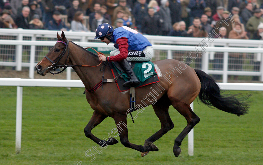 Paisley-Park-0008 
 PAISLEY PARK (Aidan Coleman) wins The galliardhomes.com Cleeve Hurdle
Cheltenham 25 Jan 2020 - Pic Steven Cargill / Racingfotos.com