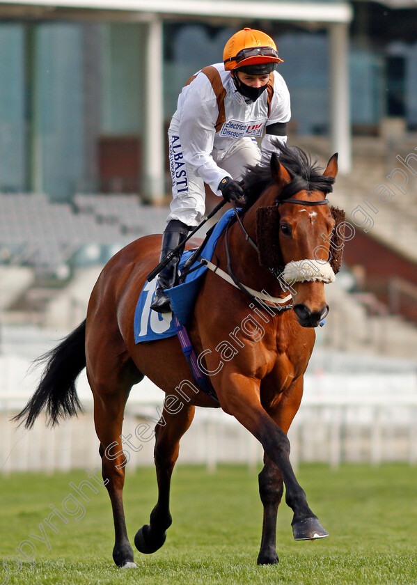 Mukhayyam-0001 
 MUKHAYYAM (David Allan)
York 12 May 2021 - Pic Steven Cargill / Racingfotos.com