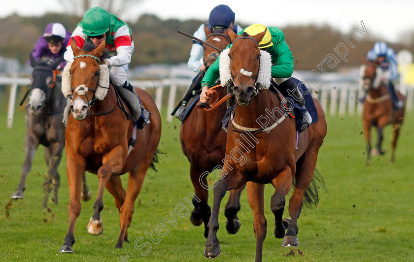 Dapper-Valley-0004 
 DAPPER VALLEY (Tom Marquand) wins The Join Moulton Racing Syndicate Handicap
Yarmouth 22 Oct 2024 - Pic Steven Cargill / Racingfotos.com