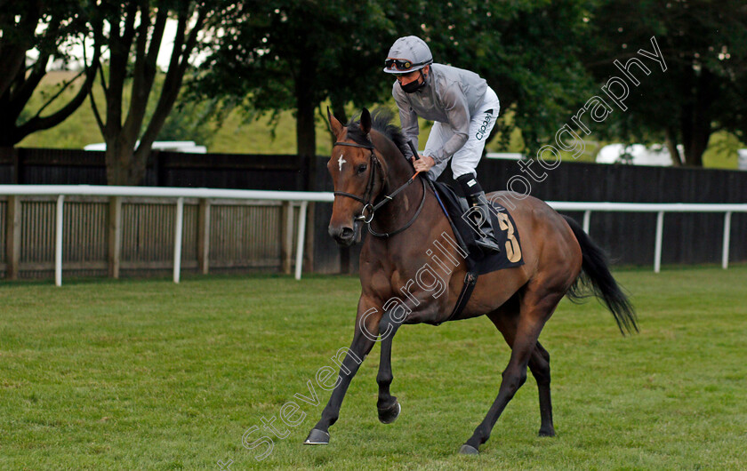 Ensemble-0001 
 ENSEMBLE (Kieran Shoemark)
Newmarket 25 Jun 2021 - Pic Steven Cargill / Racingfotos.com