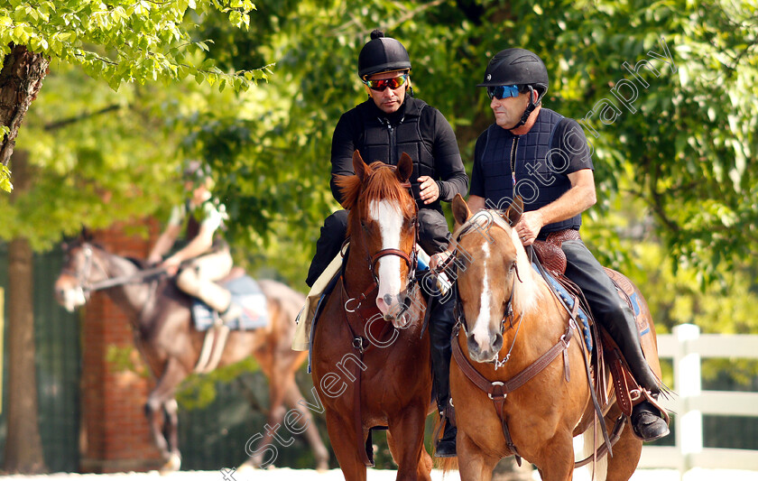 Improbable-0017 
 IMPROBABLE exercising in preparation for the Preakness Stakes
Pimlico, Baltimore USA, 16 May 2019 - Pic Steven Cargill / Racingfotos.com