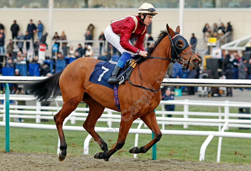 Storymaker-0001 
 STORYMAKER (Tommie Jakes)
Lingfield 20 Jan 2024 - Pic Steven Cargill / Racingfotos.com