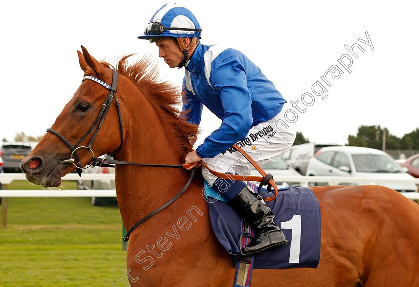 Anaakeed-0002 
 ANAAKEED (Jim Crowley) Yarmouth 24 Oct 2017 - Pic Steven Cargill / Racingfotos.com