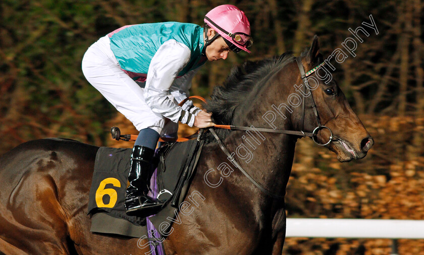 Rondo-0002 
 RONDO (Kieran Shoemark)
Kempton 19 Feb 2020 - Pic Steven Cargill / Racingfotos.com