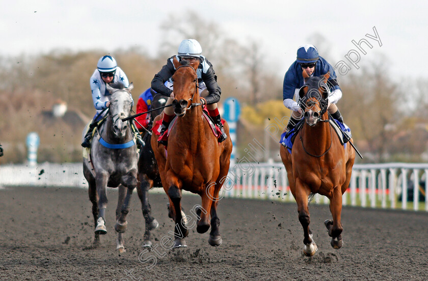 Biggles-0001 
 BIGGLES (left, Robbie Downey) beats CRANTOCK BAY (right) in The Ladbrokes Committed To Safer Gambling Novice Stakes
Kempton 27 Mar 2021 - Pic Steven Cargill / Racingfotos.com