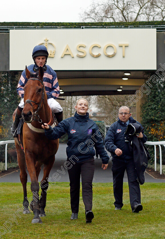 Benatar-0008 
 BENATAR (Jamie Moore) after The Mitie Noel Novices Chase Ascot 22 Dec 2017 - Pic Steven Cargill / Racingfotos.com