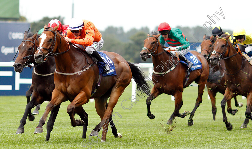 Only-Spoofing-0001 
 ONLY SPOOFING (Kieran O'Neill) wins The Neptune Investment Management Supports Child Bereavement UK Handicap
Ascot 26 Jul 2019 - Pic Steven Cargill / Racingfotos.com