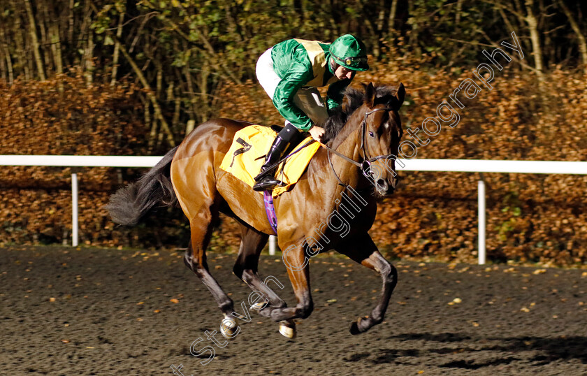 The-Quiet-Gent-0005 
 THE QUIET GENT (Hector Crouch) winner of The Unibet Novice Stakes 
Kempton 4 Dec 2024 - pic Steven Cargill / Racingfotos.com