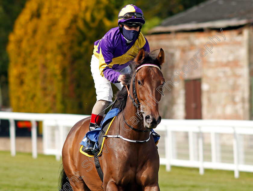 Ak-Fortyseven-0001 
 AK FORTYSEVEN (Robbie Downey)
Salisbury 1 Oct 2020 - Pic Steven Cargill / Racingfotos.com