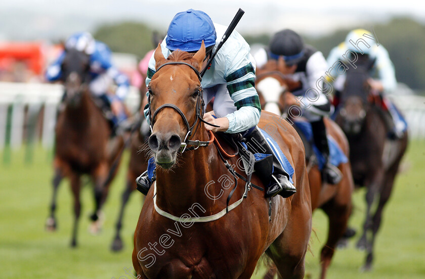 Belated-Breath-0006 
 BELATED BREATH (Oisin Murphy) wins The Bill Garnett Memorial Fillies Handicap
Salisbury 16 Aug 2018 - Pic Steven Cargill / Racingfotos.com