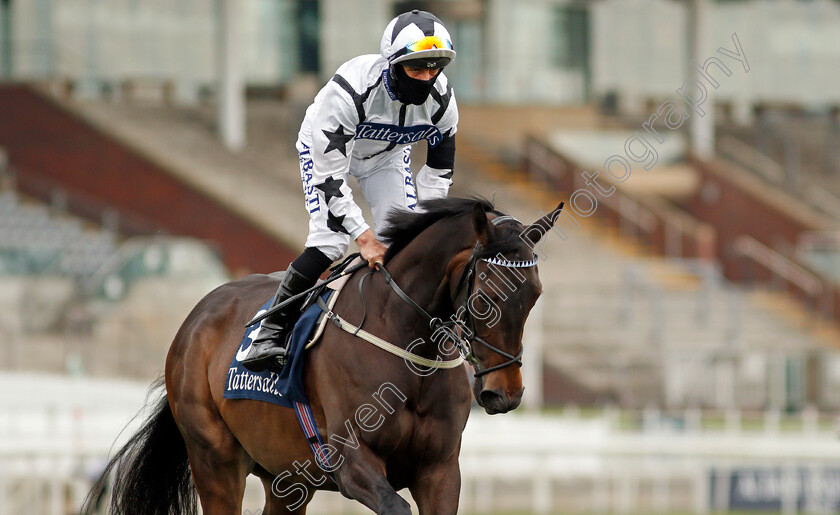 Mystery-Angel-0001 
 MYSTERY ANGEL (Ben Curtis)
York 12 May 2021 - Pic Steven Cargill / Racingfotos.com