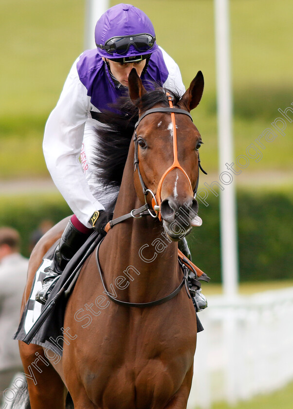 Principality-0006 
 PRINCIPALITY (Oisin Murphy) wins The Hallgarten & Novum Wines British EBF Novice Stakes
Goodwood 9 Jun 2024 - pic Steven Cargill / Racingfotos.com