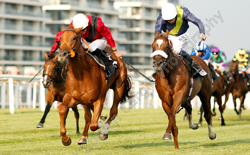 Star-Terms-0002 
 STAR TERMS (left, James Doyle) beats DUTCH TREAT (right) in The South Downs Water British EBF Maiden Fillies Stakes
Newbury 26 Jul 2018 - Pic Steven Cargill / Racingfotos.com