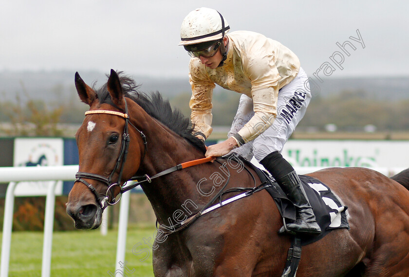 Monica-Sheriff-0007 
 MONICA SHERIFF (Tom Marquand) wins The Thoroughbred Breeders Association Fillies Handicap
Goodwood 25 Sep 2019 - Pic Steven Cargill / Racingfotos.com