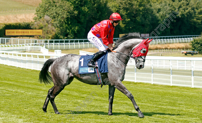 Nkosikazi-0001 
 NKOSIKAZI (Tom Marquand)
Goodwood 29 Jul 2020 - Pic Steven Cargill / Racingfotos.com