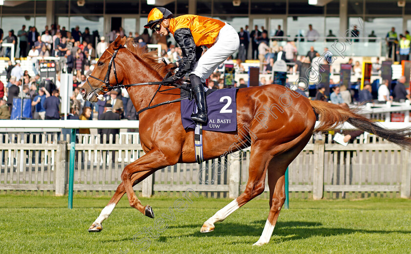 Carla s-Way-0008 
 CARLA'S WAY (James Doyle) winner of The Al Basti Equiworld Dubai Rockfel Stakes
Newmarket 29 Sep 2023 - Pic Steven Cargill / Racingfotos.com