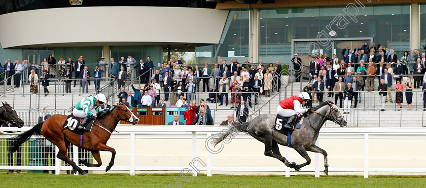 Jasour-0002 
 JASOUR (Jim Crowley) beats ADAAY IN DEVON (left) in The Commonwealth Cup Trial Stakes
Ascot 1 May 2024 - Pic Steven Cargill / Racingfotos.com