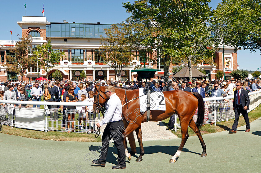 Rohaan-0001 
 ROHAAN 
Deauville 7 Aug 2022 - Pic Steven Cargill / Racingfotos.com