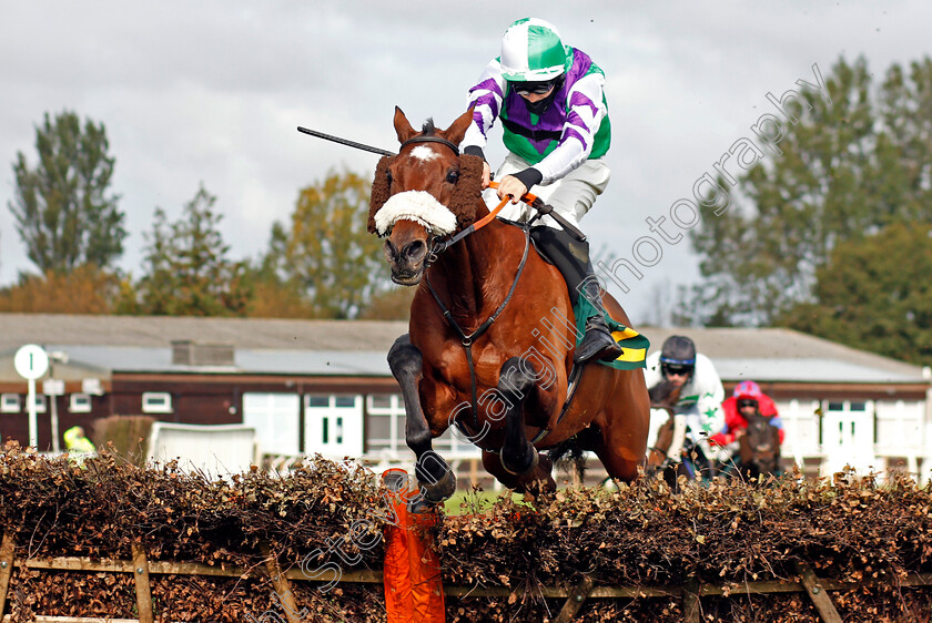 The-Twisler-0002 
 THE TWISLER (Harry Reed) wins The Watch Fakenham Replays On attheraces.com Conditional Jockeys Selling Handicap Hurdle
Fakenham 16 Oct 2020 - Pic Steven Cargill / Racingfotos.com