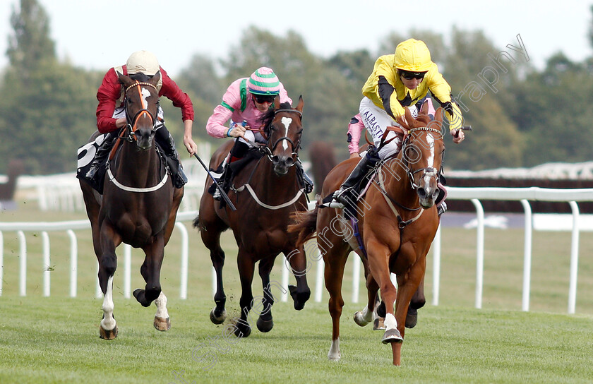 Shumookhi-0002 
 SHUMOOKHI (Oisin Murphy) wins The Byerley Stud St Hugh's Stakes
Newbury 17 Aug 2018 - Pic Steven Cargill / Racingfotos.com