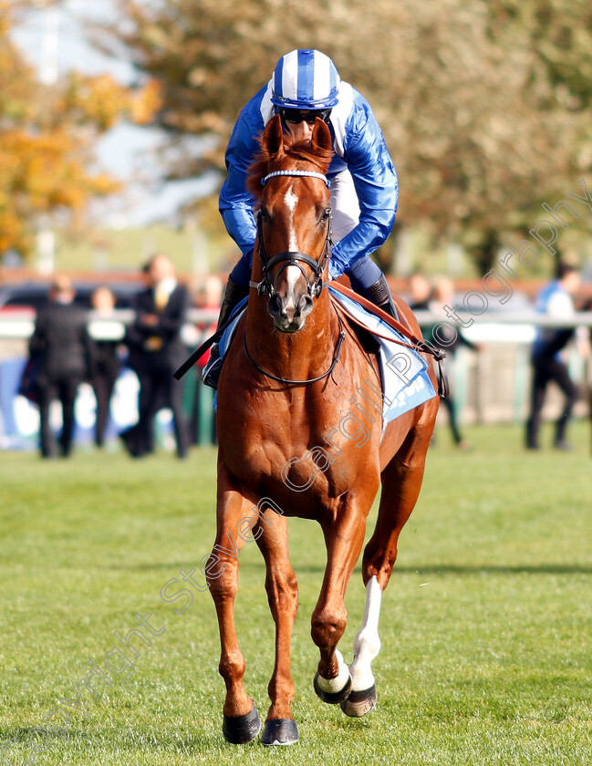 Mankib-0001 
 MANKIB (Jim Crowley)
Newmarket 12 Oct 2018 - Pic Steven Cargill / Racingfotos.com