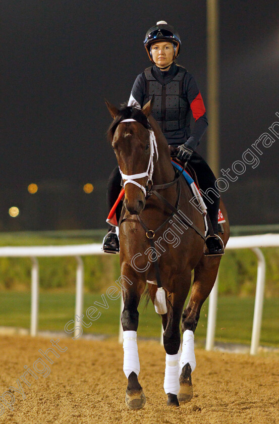 Life-Is-Good-0008 
 LIFE IS GOOD training for the Dubai World Cup
Meydan, Dubai, 23 Mar 2022 - Pic Steven Cargill / Racingfotos.com