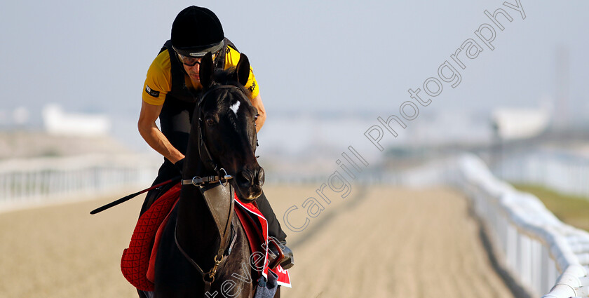 Calif-0005 
 CALIF training for the Bahrain International Trophy
Kingdom of Bahrain 14 Nov 2024 - Pic Steven Cargill / Racingfotos.com