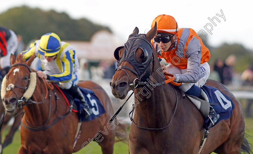 Jungle-Run-0001 
 JUNGLE RUN (Connor Planas) wins The Free Digital Racecard At raceday-ready.com Handicap
Yarmouth 17 Sep 2024 - Pic Steven Cargill / Racingfotos.com