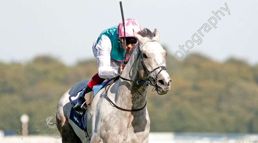 Logician-0018 
 LOGICIAN (Frankie Dettori) wins The William Hill St Leger Stakes
Doncaster 14 Sep 2019 - Pic Steven Cargill / Racingfotos.com