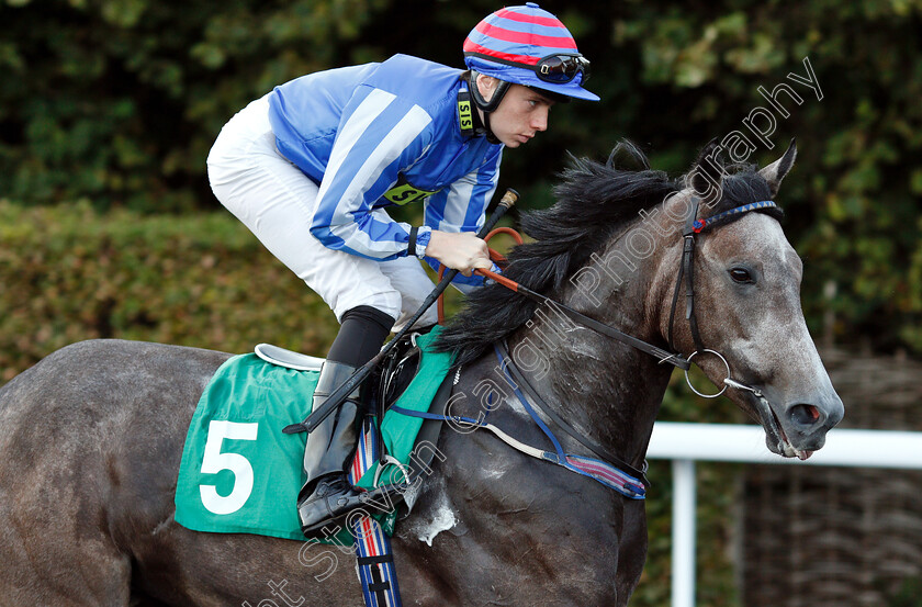 Delicious-0002 
 DELICIOUS (Callum Shepherd)
Kempton 18 Sep 2018 - Pic Steven Cargill / Racingfotos.com