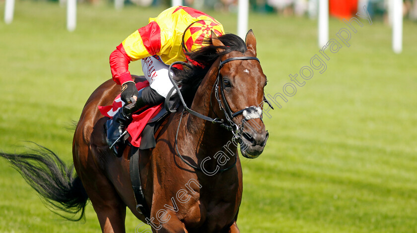 Savvy-Victory-0003 
 SAVVY VICTORY (Tom Marquand) wins The Davies Insurance Solutions Gala Stakes
Sandown 7 Jul 2023 - Pic Steven Cargill / Racingfotos.com