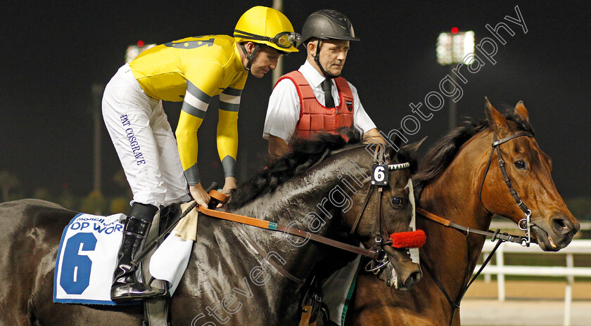 Blitzkrieg-0001 
 BLITZKRIEG (Pat Cosgrave)
Meydan 23 Jan 2020 - Pic Steven Cargill / Racingfotos.com