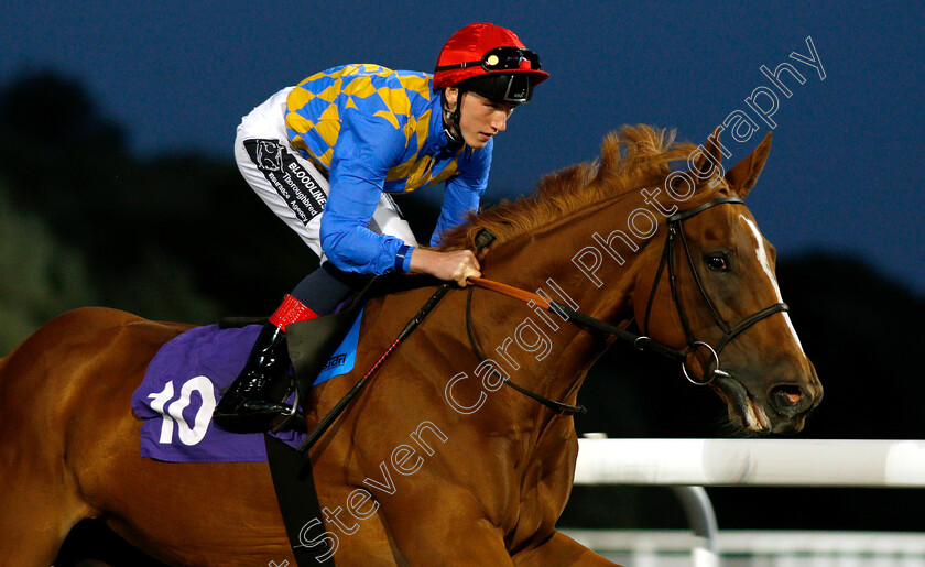 Sparkling-Surf-0002 
 SPARKLING SURF (David Egan)
Kempton 18 Sep 2018 - Pic Steven Cargill / Racingfotos.com