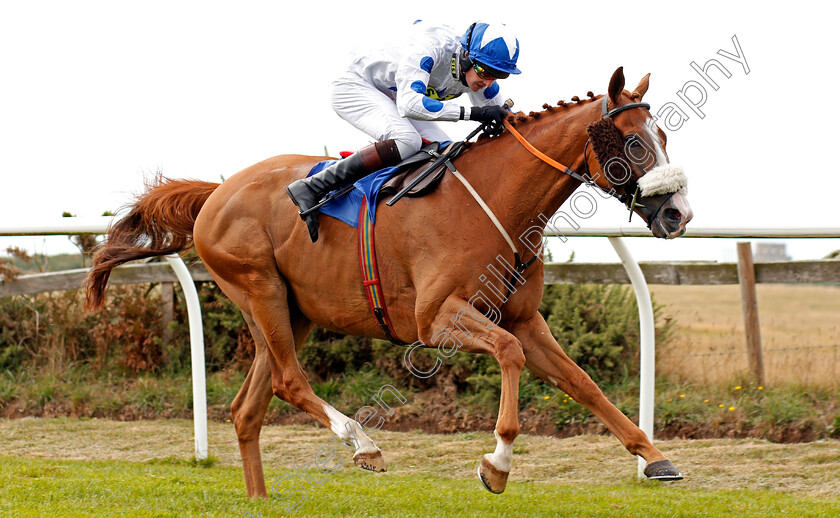 Magical-Thomas-0006 
 MAGICAL THOMAS (Brendan Powell) wins The Lady Brenda Cook Memorial Handicap Hurdle
Les Landes Jersey 26 Aug 2019 - Pic Steven Cargill / Racingfotos.com