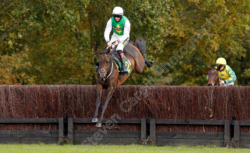 Bit-On-The-Side-0002 
 BIT ON THE SIDE (Sam Twiston-Davies)
Fakenham 16 Oct 2020 - Pic Steven Cargill / Racingfotos.com