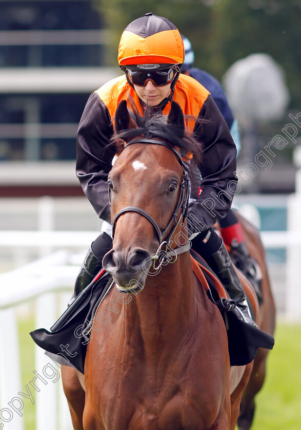 Egypsyan-Crackelli-0001 
 EGYPSYAN CRACKELLI (Hayley Turner)
Newbury 13 Aug 2021 - Pic Steven Cargill / Racingfotos.com