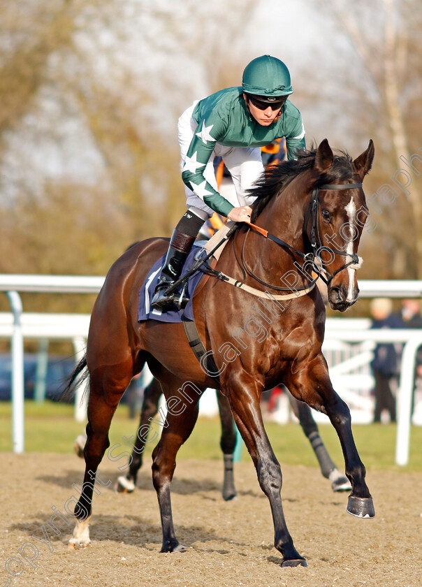 Rudaina-0001 
 RUDAINA (Jason Watson)
Lingfield 18 Dec 2019 - Pic Steven Cargill / Racingfotos.com